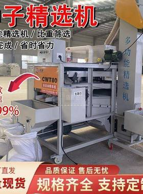 小麦中DCY大型智能种选粮稻食小筛麦水玉米大豆选种机净粮振动精