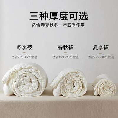 A类bsn原被棉%大豆维纤被子冬被加厚被芯春被秋太空四季夏凉棉被