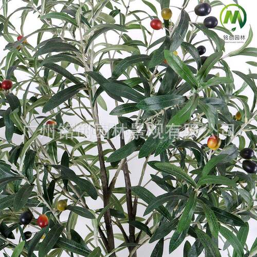 仿假真榄树盆景门店家居人橄造橄榄树绿植盆栽橄榄树绿景植MC-250