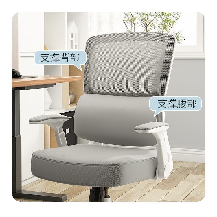简约电脑椅家用学舒适久椅坐办公靠护腰64846学习座椅人体工靠背