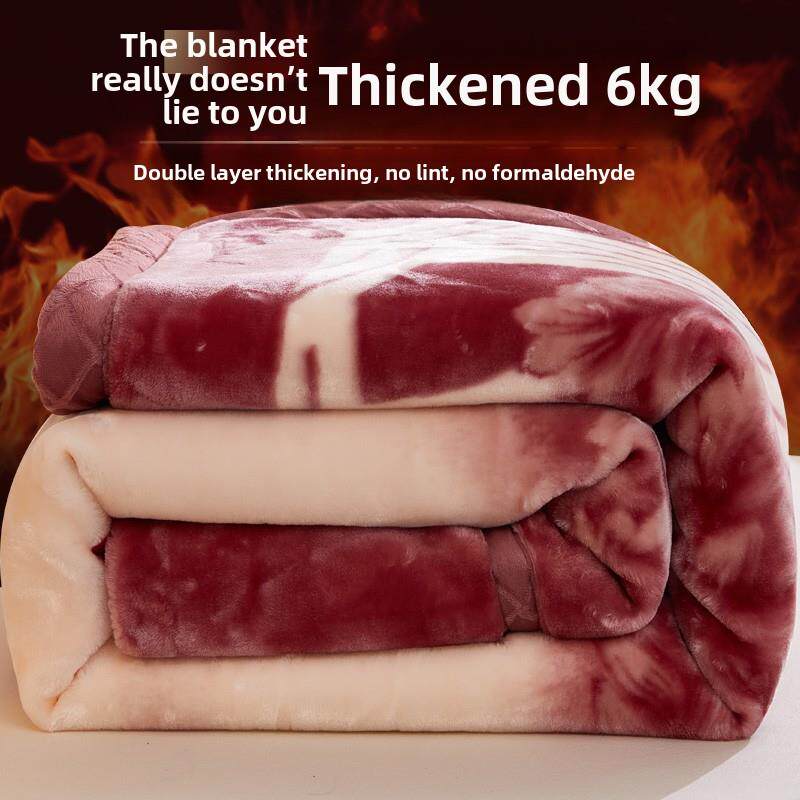 双层拉舍尔毛毯加厚a级冬季被子超暖枕套毛毯6公斤珊瑚绒机洗