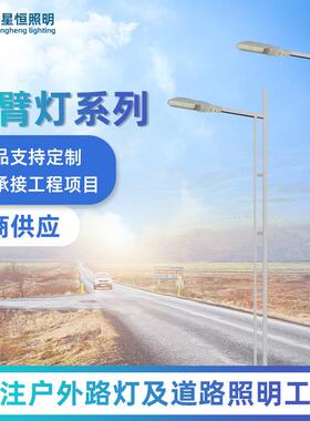 LED市电单臂路灯新农村建设30W5米6米8米户外工程照明双臂路灯杆