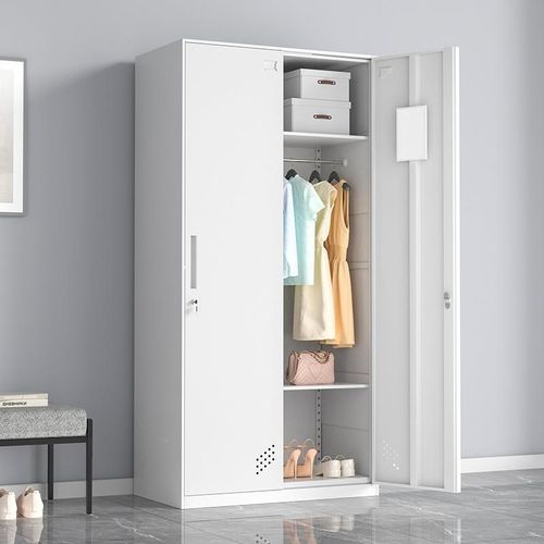 厂促钢制工宿存舍铁皮储物柜二门健房更衣柜身带员锁浴室换衣柜寄