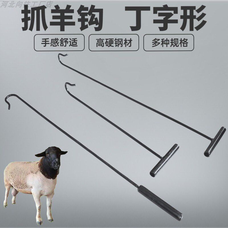抓羊钩子钢筋捉羊工具逮羊神器加粗杆铁放羊长钩家用养殖羊腿钩子 - 实物图