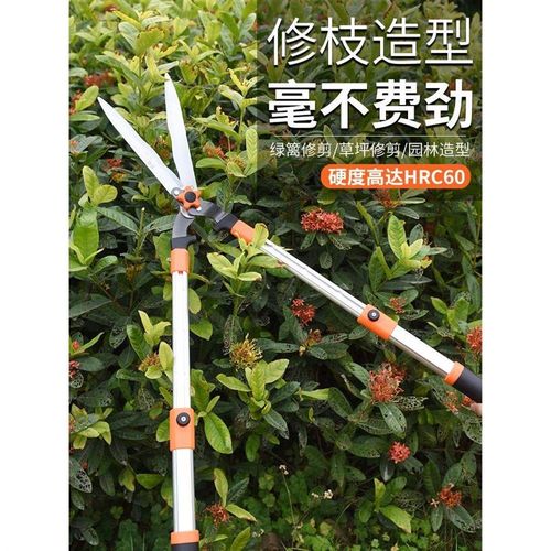 园艺大剪刀园林工具修花剪绿化修枝剪树枝修剪草坪剪子绿篱专用剪