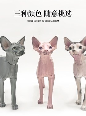 无毛猫模型可拆宠物道具猫狗衣服拍摄展示衣架模特斯芬克斯猫摆件
