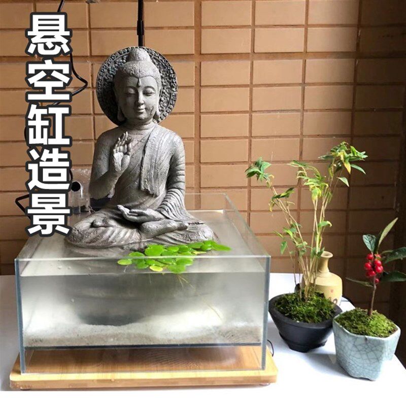 悬空缸悬浮缸造景套餐桌面生态缸水陆缸水草造景缸佛像枯木沉木