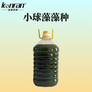 小球藻 小球藻藻种 海水小球藻 淡水小球藻 高活性小球藻藻种扩培