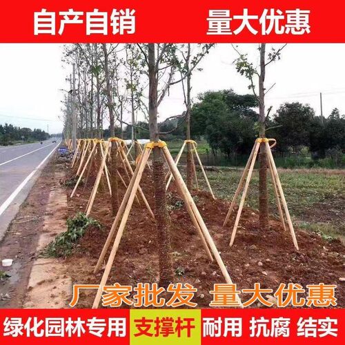 树木支撑固定器支撑架杆杉木松木杨木F棍园林绿化防风放倒稳定树