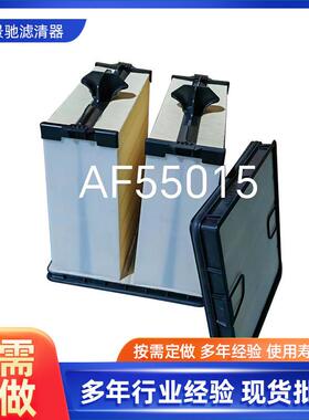 蜂窝滤芯AF55015