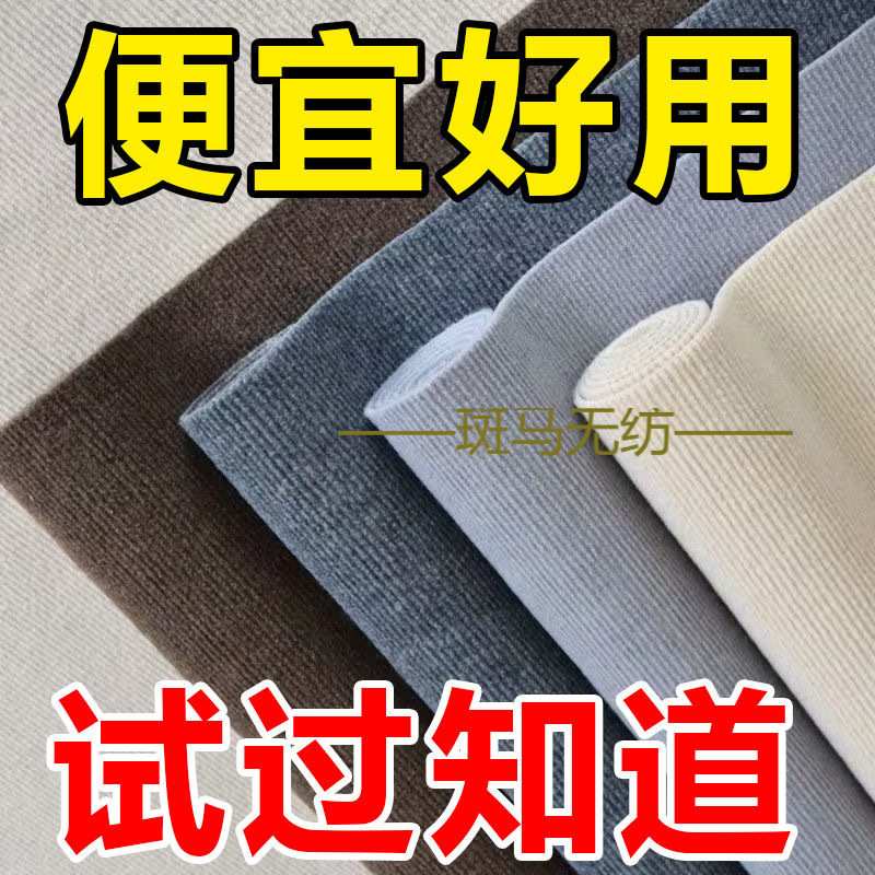 新款加厚地毯家用耐磨办公室客厅网红直播间隔音专用大面积可剪裁