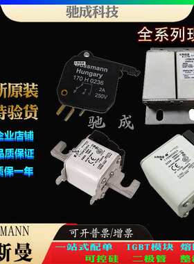 巴斯曼170M3537 170M3538 170M3539 销售供应零售  原装熔断器