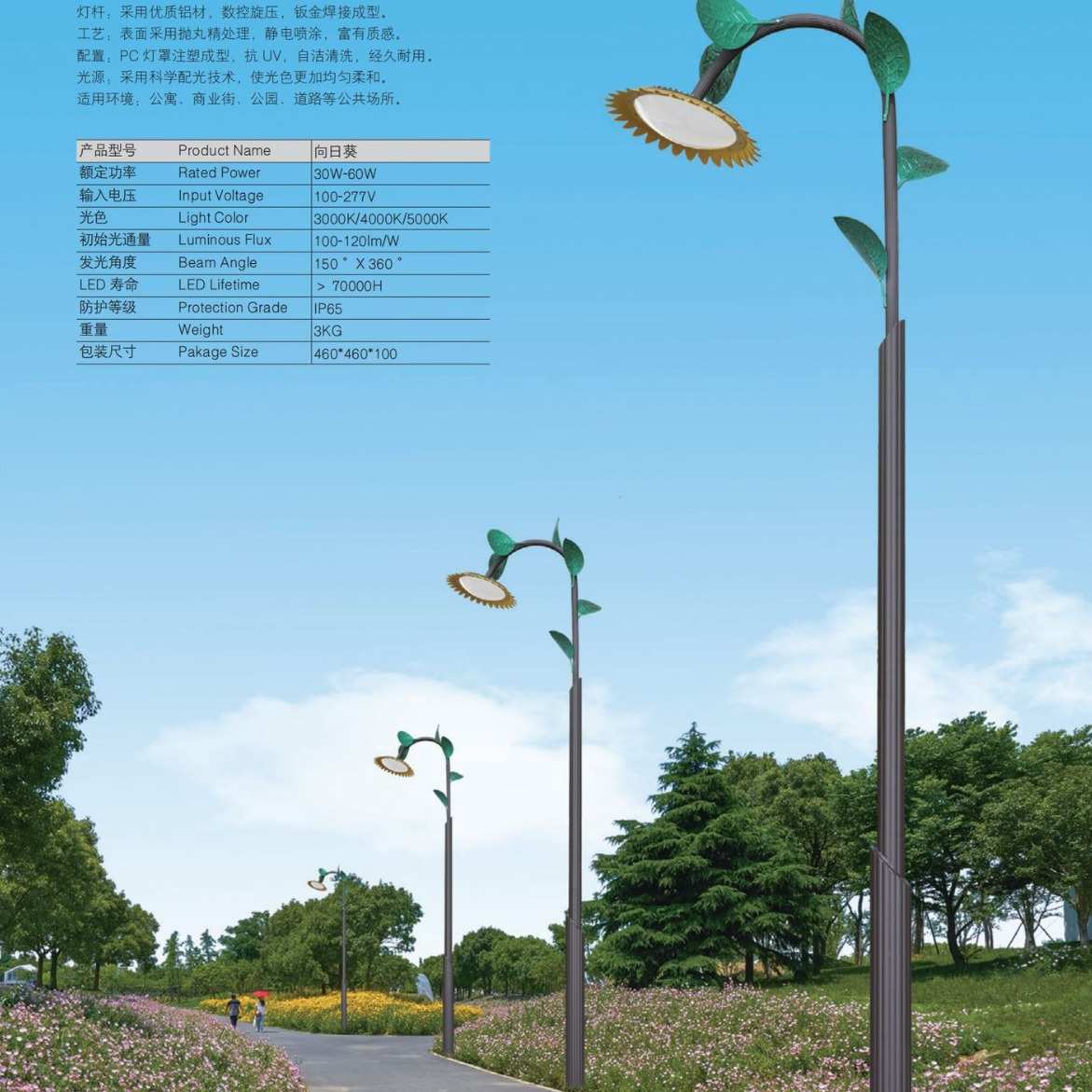 皇广景观灯-向日葵30W60W公园校园小区工厂生产 安装