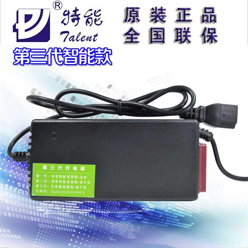 特能三代电动车智能充电器48V12AH20AH60V72V钻豹新日比德文欧派