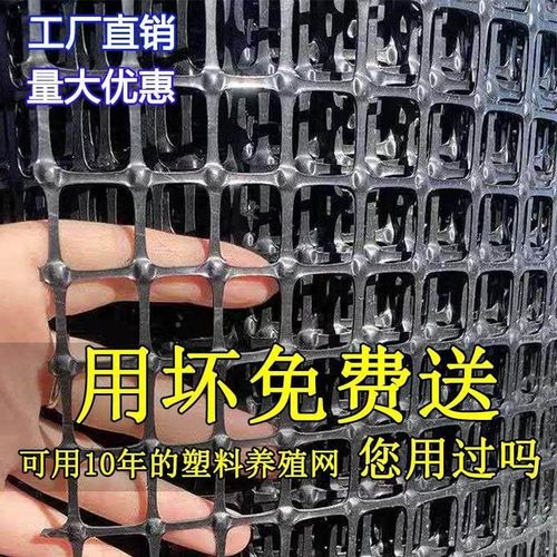 销加网厚塑料网格养殖聚丙烯鸡鸭米围栏雏漏粪网栅栏圈育地围网防