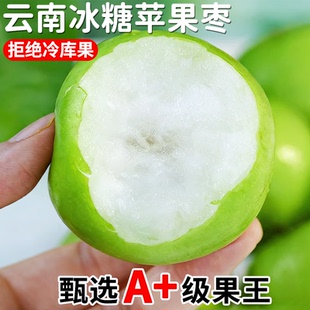 云南西双版纳苹果枣应季水果脆甜牛奶枣大青枣5斤大果整箱