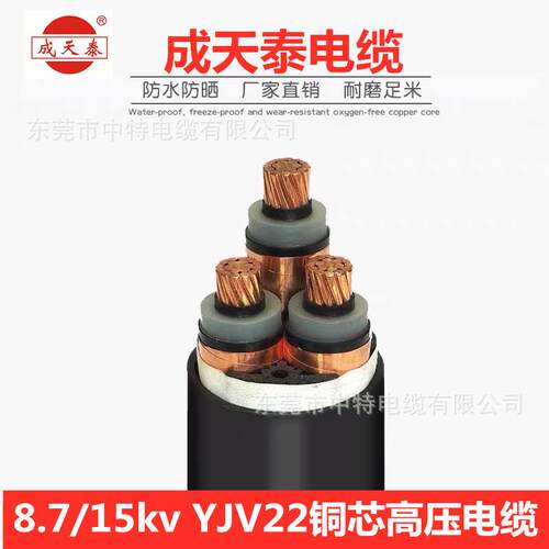 成天泰入围南方电网铜芯阻燃中高压电缆8.7/15kv-ZC-YJV223*70
