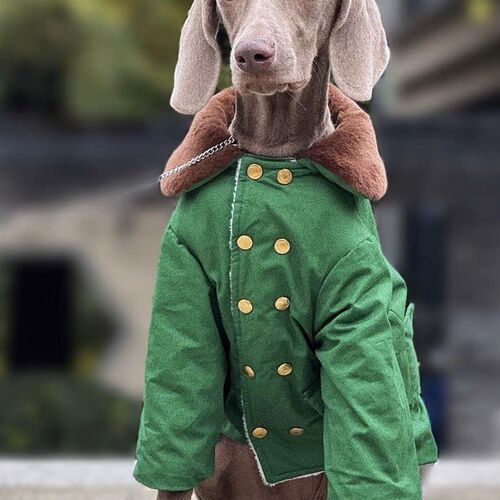 宠物狗狗大型犬冬季大衣加厚保暖绿色棉大衣萨摩拉布拉多金毛加绒