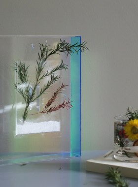现代简约蓝色亚克力植物画托盘摆件创H意样板间酒柜艺术软装饰品