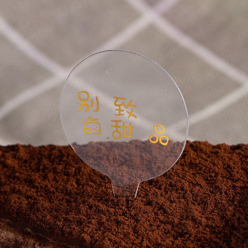 加厚玻璃透明蛋糕插牌定制logo生日烘焙甜品装饰装扮标签插卡定做