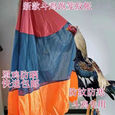 斗鸡斗鸡 用品斗鸡蚊帐斗鸡跑笼斗鸡折叠跑笼蚊帐斗鸡跑笼罩斗鸡