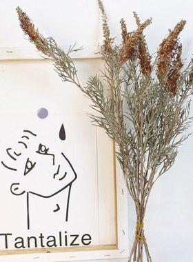 银花干花 枯枝枯叶干树枝复古插花摆件软装装饰花材