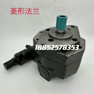 B25 B32 B40 B80Y 上海东高摆线齿轮泵BB B63 B16