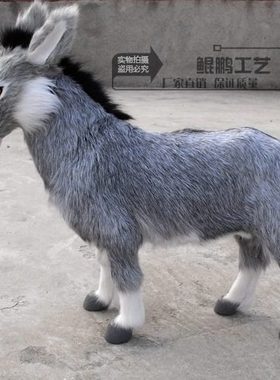 包邮模型标本橱窗陈列品摆件装饰认知动物摄影教科道具用品小毛驴