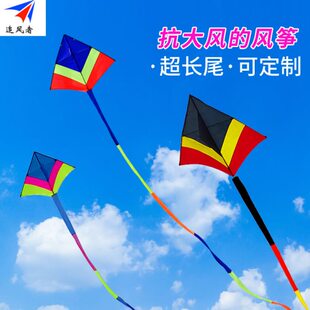 新款追风者冲天追风筝大人专用微风好飞伞布三角长尾风筝伞布风筝
