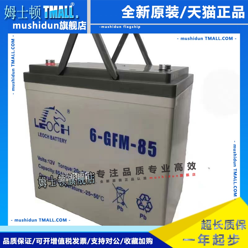 LEOCH理士蓄电池 6-GFM-85中力合力诺力叉车 12V85AH电动叉车电池