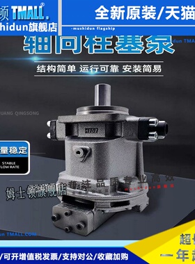 HY10/45/55/63/80/90/100/107/125/160/250Y-RP-LP津达液压柱塞泵