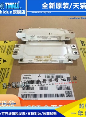 MMG450WB170B6EN MMG600WB170B6EN MMG450WB120B6TN MMG300WB170B