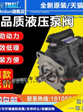 V15A4R10X/V15A3R-10X/V23/V38/V50/A1R10X/A2R10X台湾油升柱塞泵