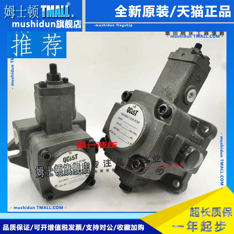 QCIST秦川机床数控油泵VVP15B/20 VVP20B/35 VVP30B/55 VVP40B/70