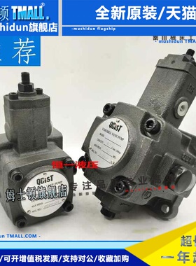 QCIST秦川机床数控油泵VVP15B/20 VVP20B/35 VVP30B/55 VVP40B/70