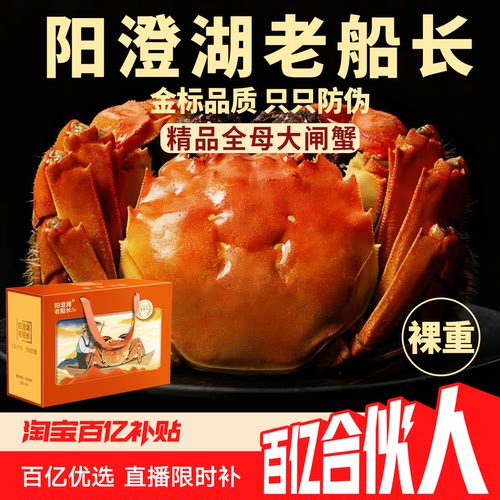 阳澄湖老船长大闸蟹8只