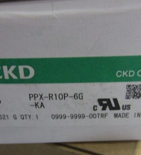 PPX-R10/01P-6G-KA,数显开关PPX-R10/01NH-6M-KA,PPX-R10P-6M