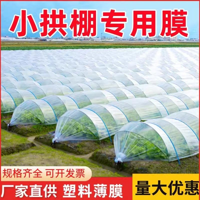 小拱棚专用育苗水稻秧苗内膜透明保温农N用二层塑料薄膜地膜