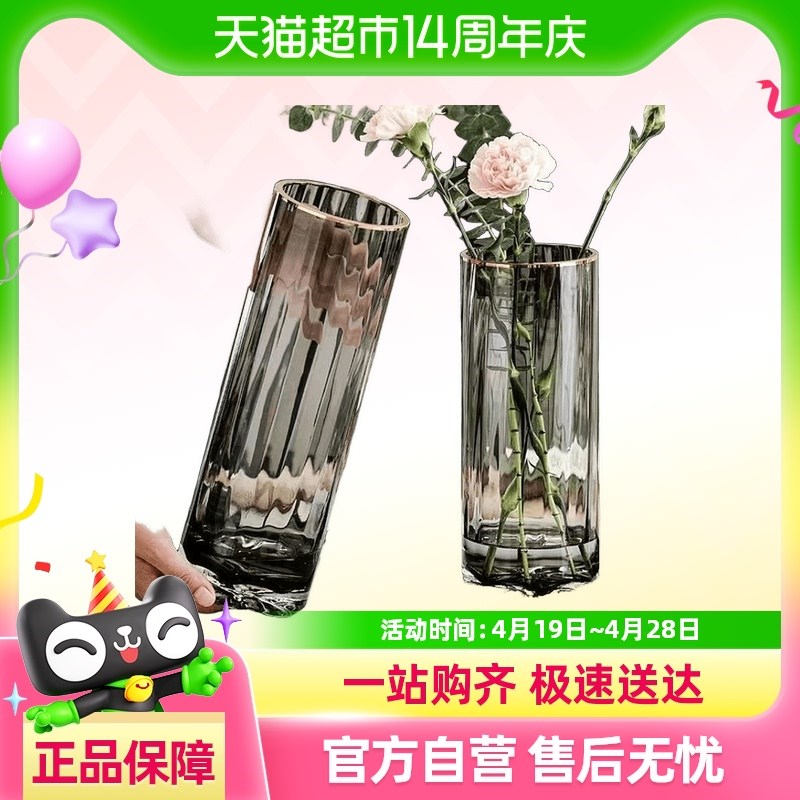 北欧风透明玻璃花瓶轻奢直筒花瓶简约水养富贵P竹百合花插花瓶摆