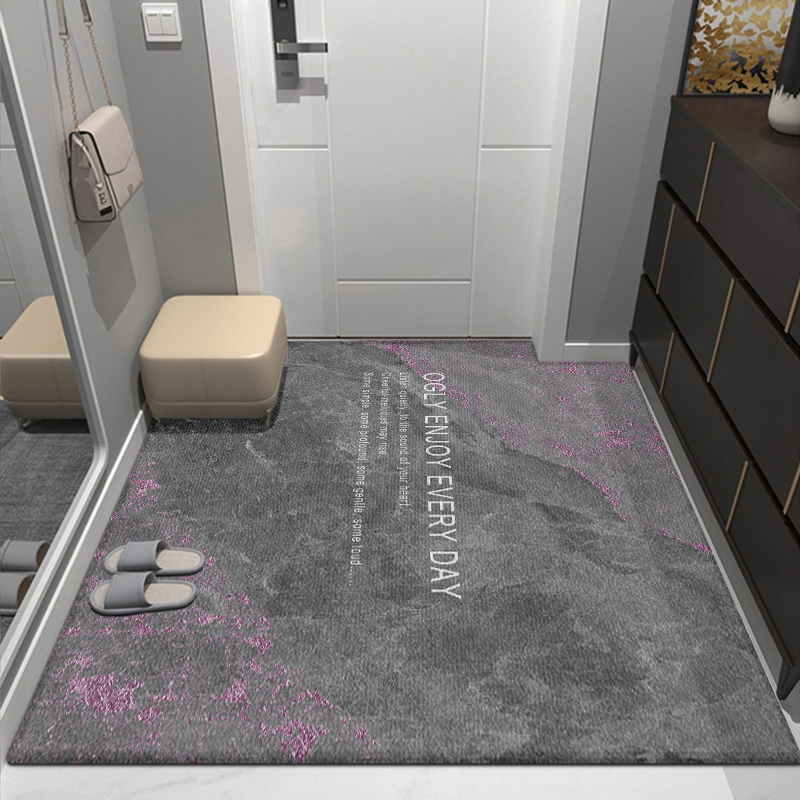 经典入户门地垫2023升级款 y 入门口地垫地毯高端耐脏高级入户门