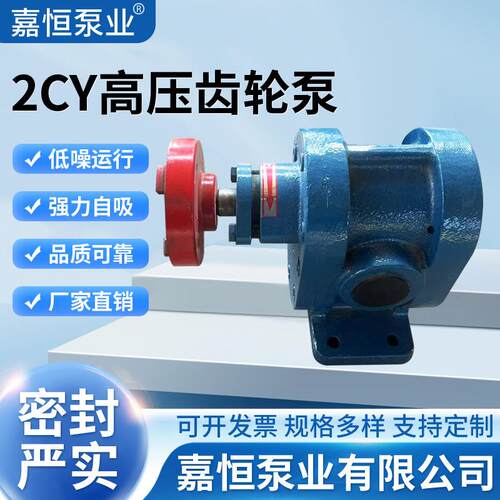 高温齿轮泵2CY1.08/2.52.1/2.53/2.5齿轮油泵渣油泵自吸泵头