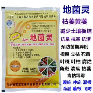 地菌灵抗重茬角h斑枯萎青枯腐烂根腐立枯猝倒防死苗烂根烂果枯黄