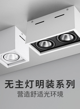 明装双头射灯LEDn天花灯吸顶式斗胆灯客厅筒灯卧室方形无主灯照明