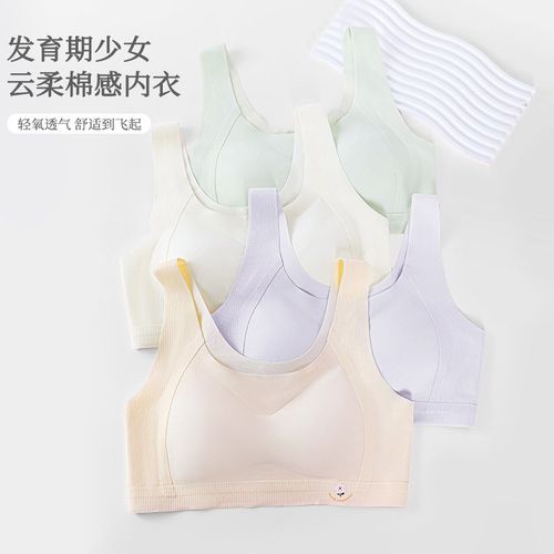 2024新款第二阶段发育期学生无痕无钢圈小背心固定杯舒适少女文胸