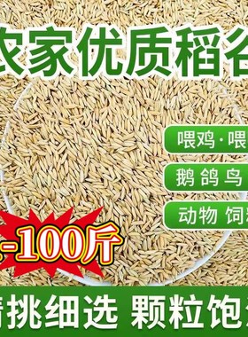 新稻谷1斤2斤50斤稻子带壳谷子喂鸡稻谷鸭鹅鸽鸟仓鼠宠物饲料