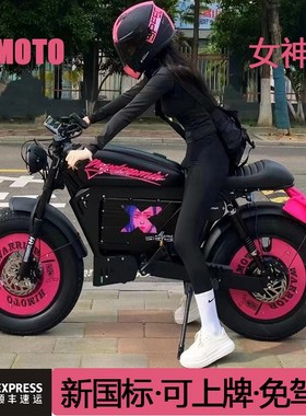 Himoto新国标复古款助力防滑越野电动自行车成人青年代步车可上牌