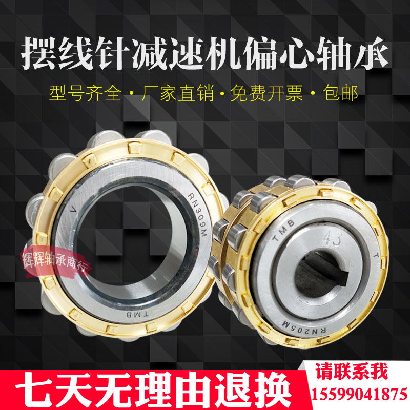 减速机偏心轴承 RN205 RN206 RN307 RN309 204 207 312 219 228 M
