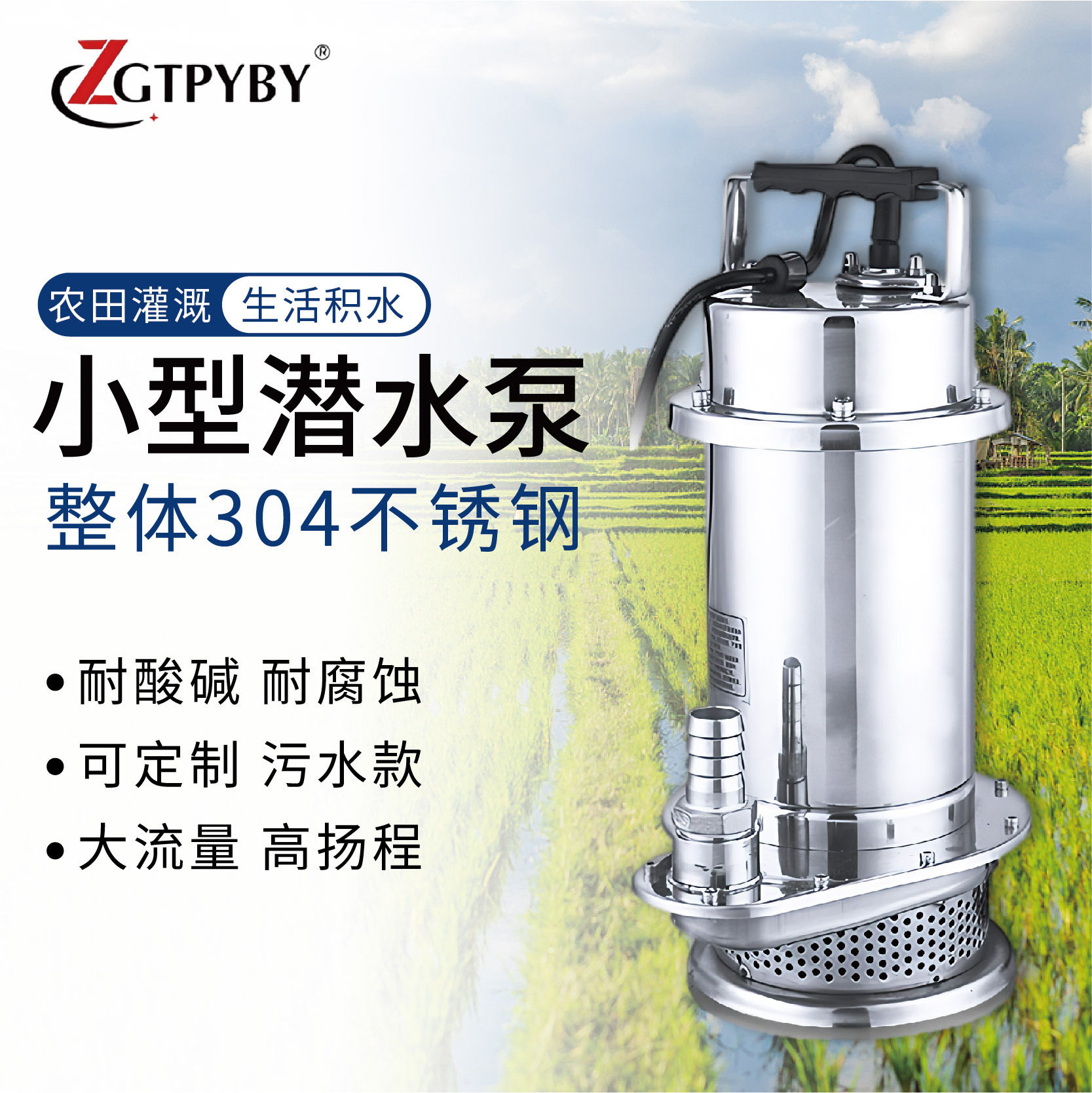 不锈钢潜水泵220v抽水泵农用灌溉家用潜水泵抽井水景观喷泉泵380v