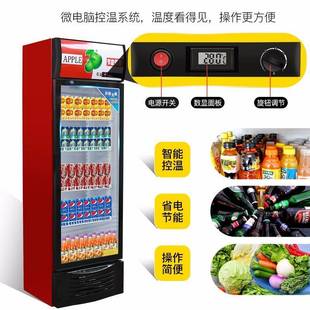 啤酒柜冷藏展示柜169立式 鲜商用冰单门保柜箱饭店超市冷柜双门饮