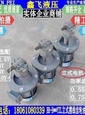 BB-B2.5ZYZLEB4YLB6YZLB10YZL立式摆线齿轮油泵电机BB-B2.5Y组Y2-